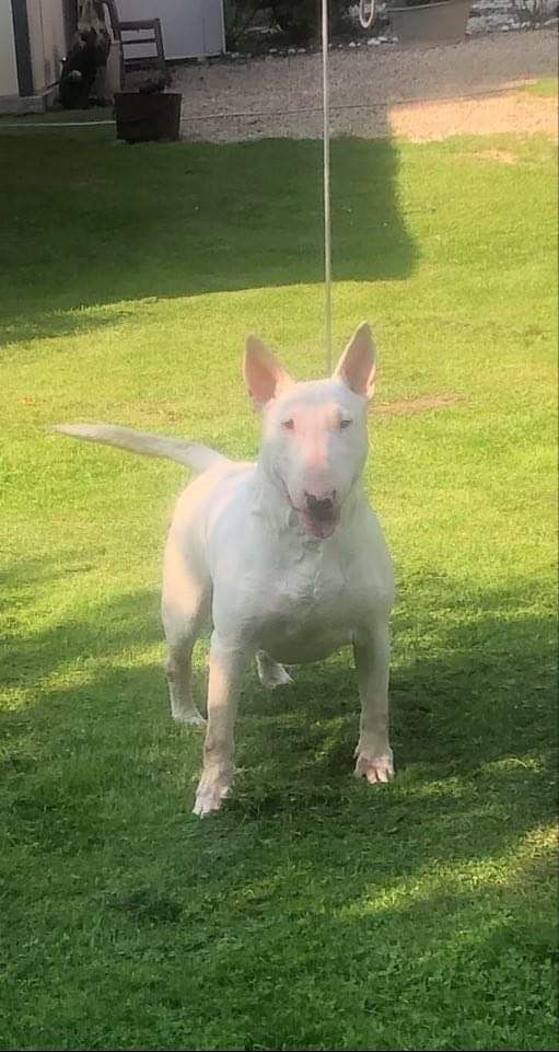 Rosita du domaine du moulin d'allamont